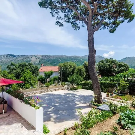 Maurora Terrace Apartment Zaton (Dubrovnik-Neretva)